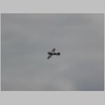 Flugtag _Lehrte_2010_218.jpg